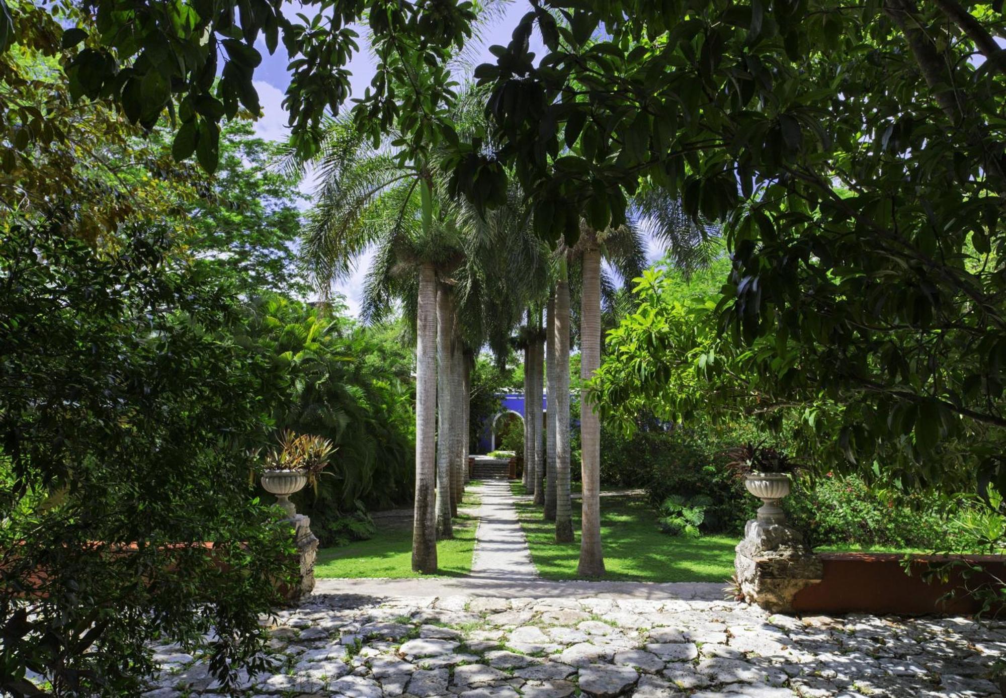 Hacienda San Jose Cholul Otel Tixkokob Dış mekan fotoğraf